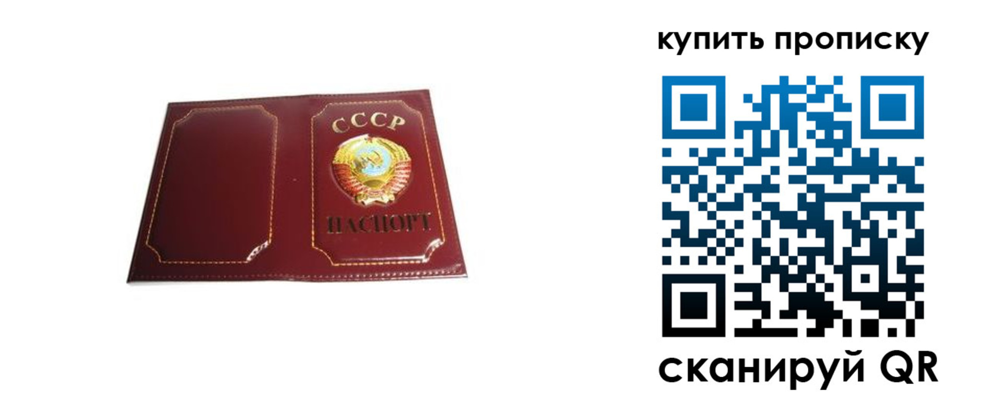 прописка законно в Светлогорске
